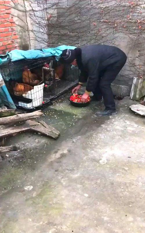 清涧搞笑视频,搞笑视频带你领略陕北风情