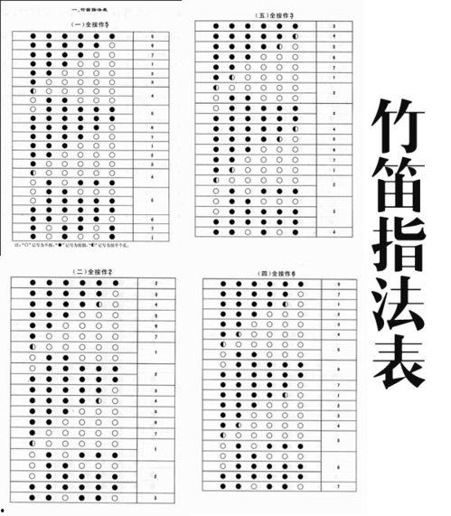 笛子教学视频全集,从入门到精通的全面教程概述
