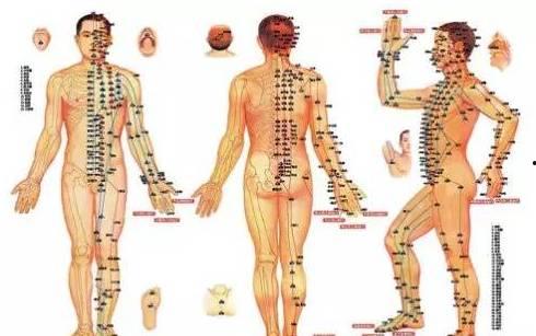 背部刮痧视频教程