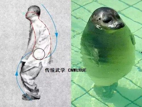 蹲猴桩教学视频,传统武术基本功教学视频精华解析