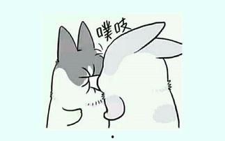 葫芦娃的相关视频